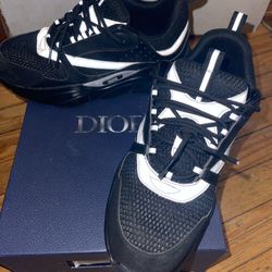 Dior B22 reflective