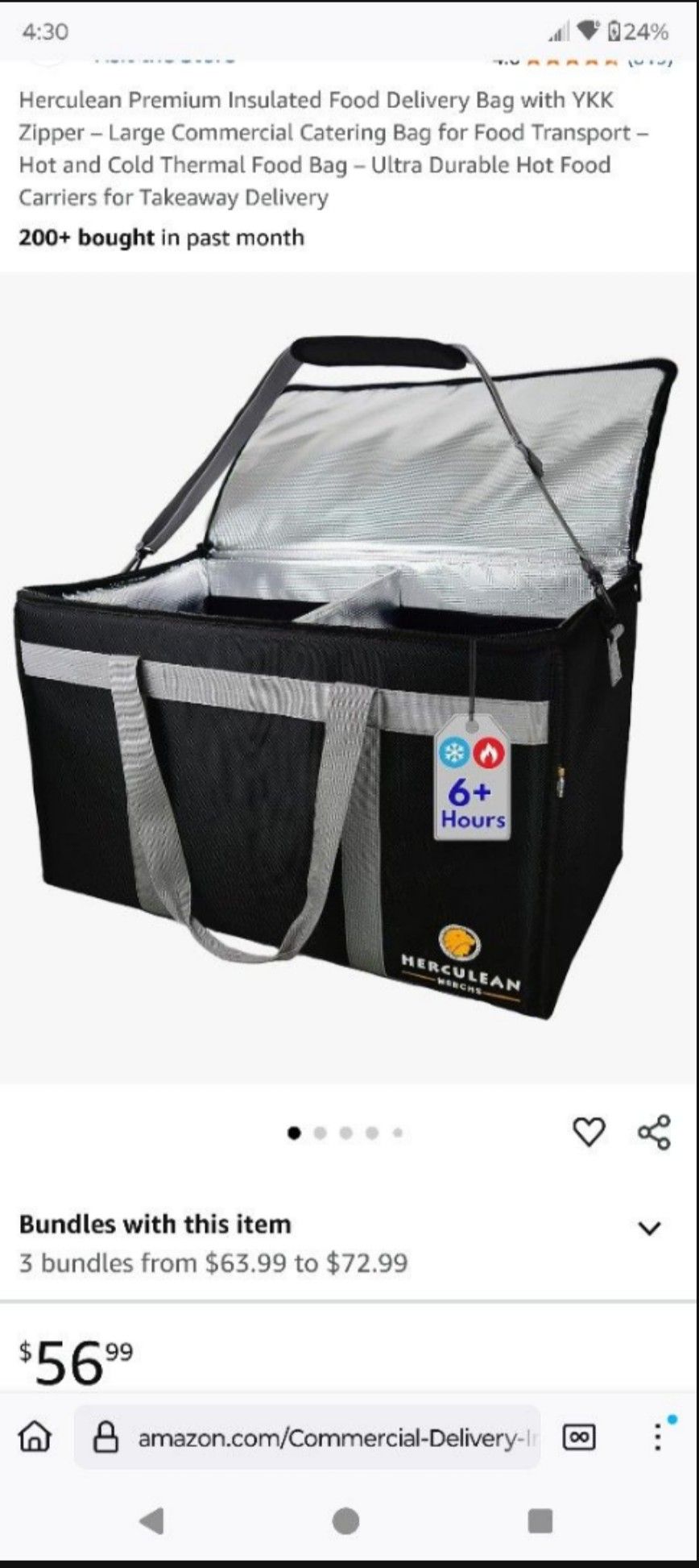 Large Insulated Food Delivery/Catering Bag