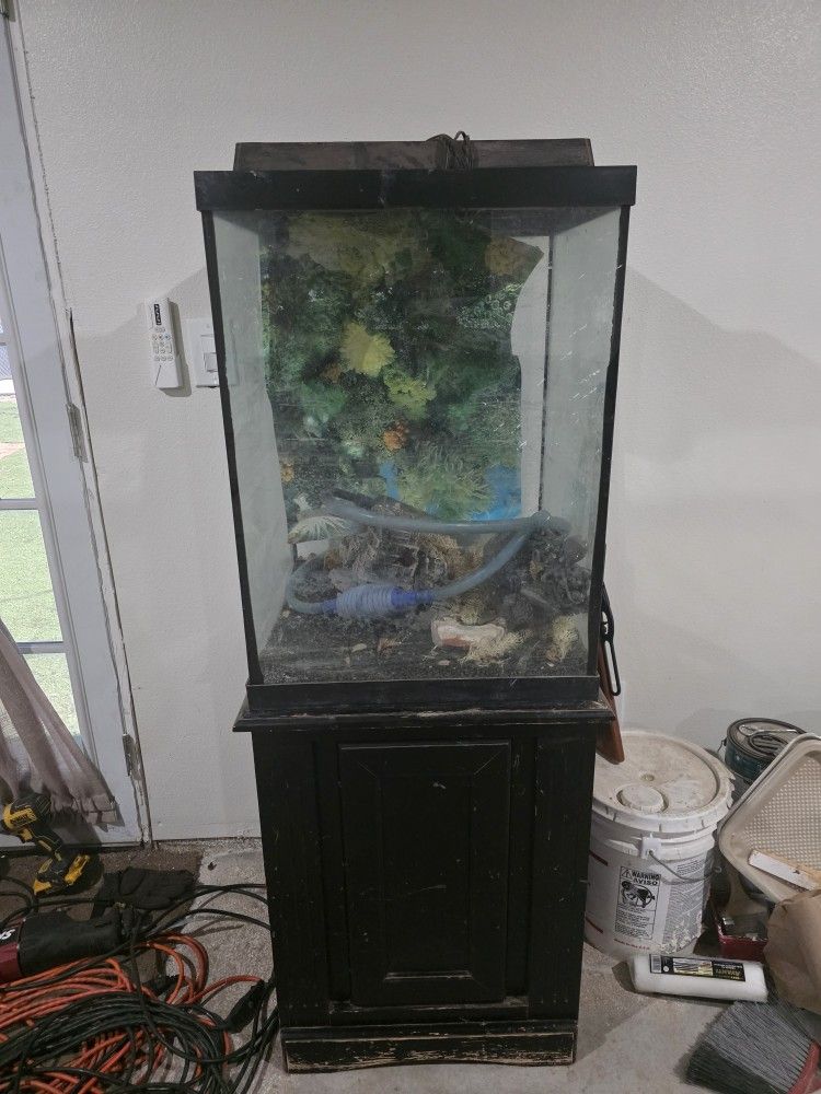 40 Gallon Fish Tank