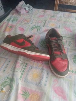 Nike dunks/Jordan 12s both 9s