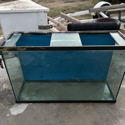 Fish Tank 