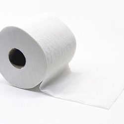 Toilet Paper 🧻 / Papel Higiénico 🧻 