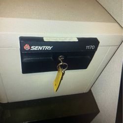 Sentry Fire Safe