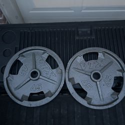 Vtx 2” Hole 45 Pound Plates