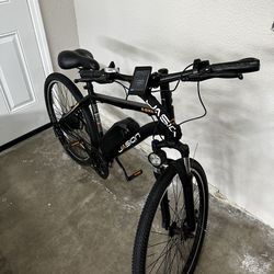 Jasion E bike