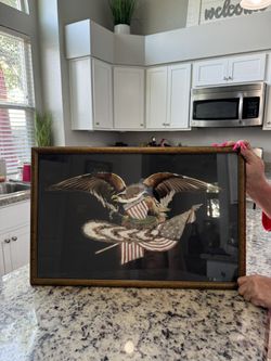 Antique American Eagle Framed Art made with Feathers Fighting Eagle holding USA 13 Star Flag