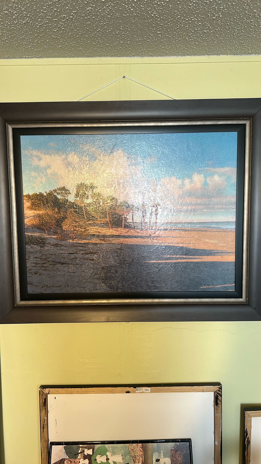 Isle Of palms Beach Scene