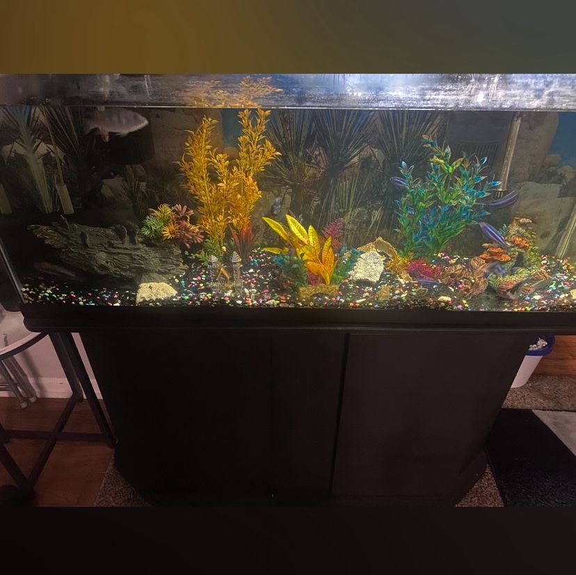 Fish Tank With Stand