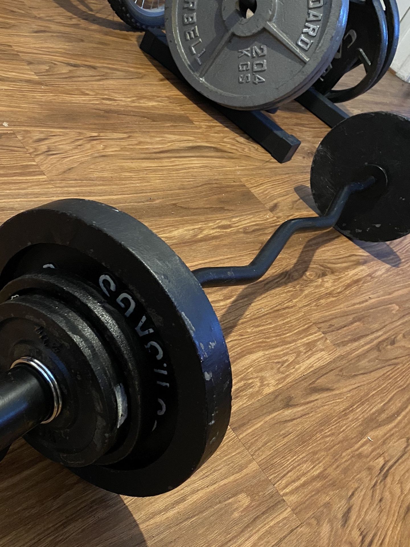 Olympic Curl Bar And Weights