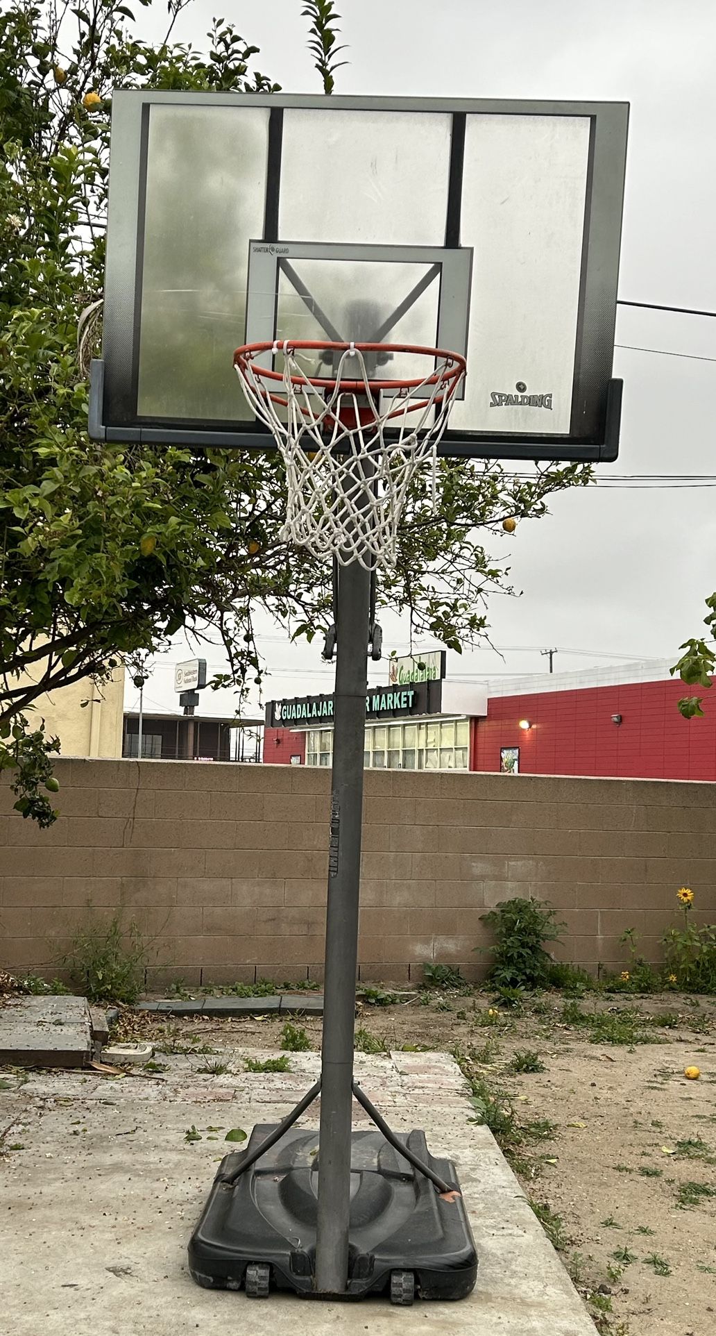 Basketball Hoop