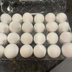 Easter eggshells - Plain For Crafts - 2 Dozen 