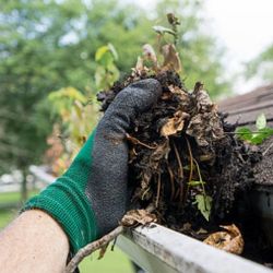 Gutter Cleaning 