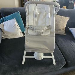 Baby Delight Bouncer Electric 