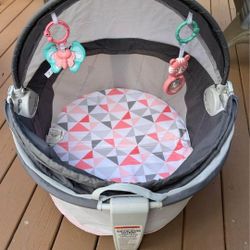 Infant Fisher Price On-The-Go Baby Dome