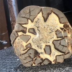 Septarian Nodule 