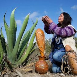 Pulquesito Dulce Agua Miel De Maguey Manso