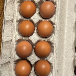 Fresh Farm Eggs