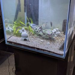 60 Gal Tank /Stand 