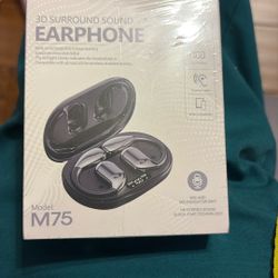 Language Translator Earbuds 