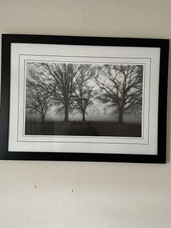 Black And White Picture 39.5” X 29.5”