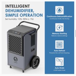 ANDTE Dehumidifier