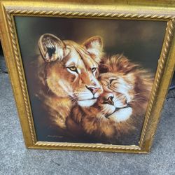 A Beautiful Picture Of Two Lions, Work Of Nature, Very Nice ( NO SHIPPING) 28” X 25”