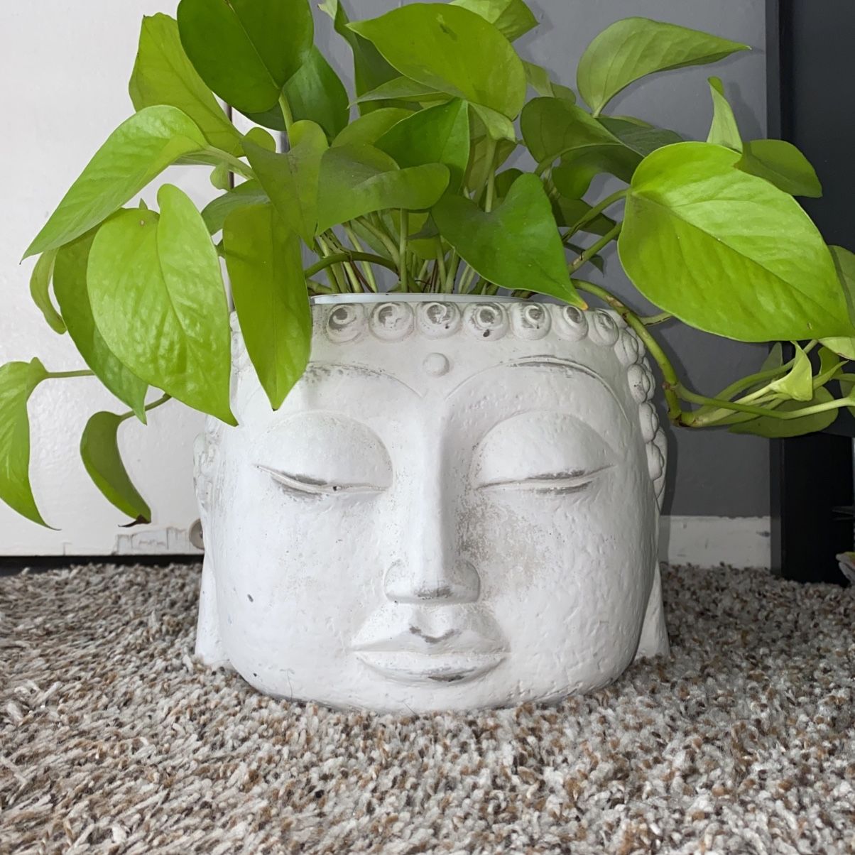 Buddha Head Planter Pot