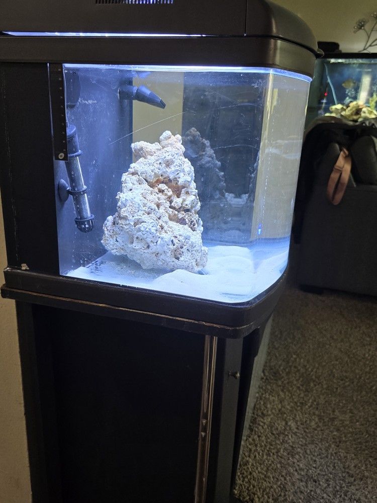 15 Gal Cube Tank Including Everything.