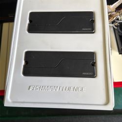 Fishman Fluence 8-String Pickups w/ pots and switch