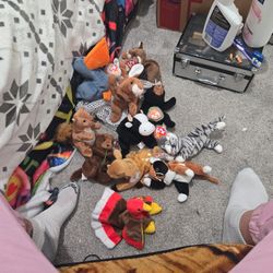 Beanie Baby Collection