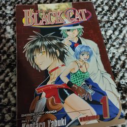 Black Cat Manga Vol 1