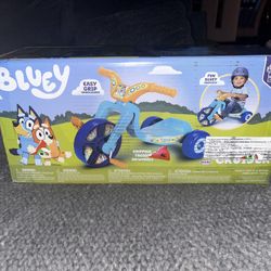 Bluey Bike 
