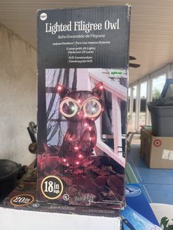 Light Up Halloween 🎃 Owl 🦉👻💀☠️