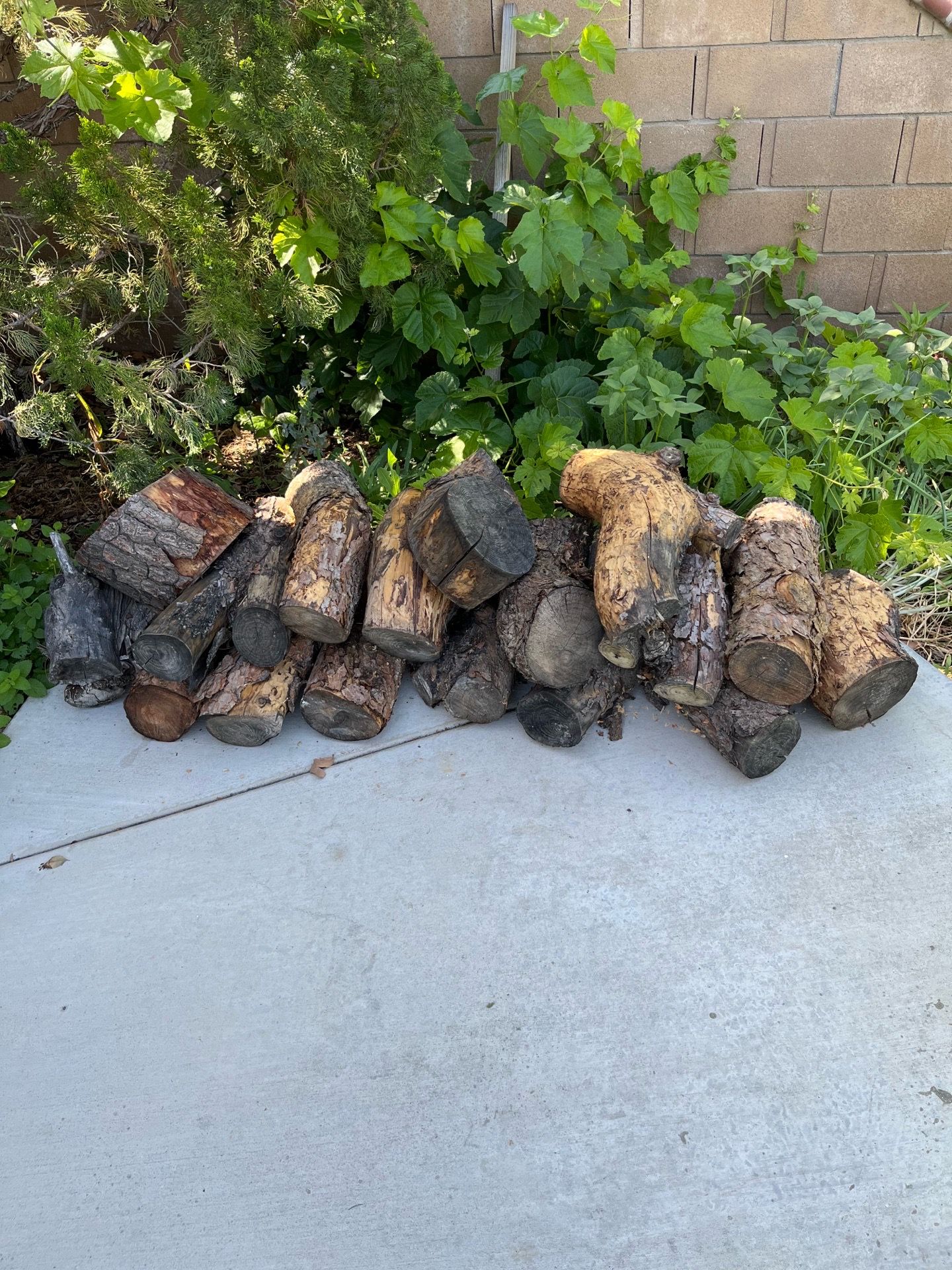 Firewood $20 for all