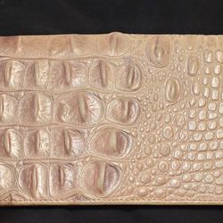 Brahmin Ady wallet Scallop Ombre Melbourne