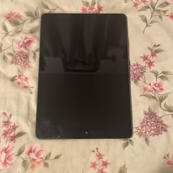 iPad 8th Generation (used) (No Issues)