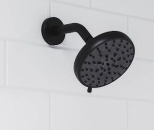 Pfister Zeelan Matte Black Shower Head