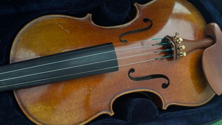 Full size violin 700$