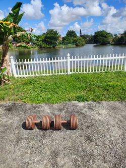 100 lb weights