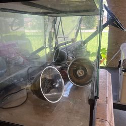 Reptile Aquarium 