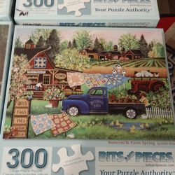 Puzzles 300 Piece 