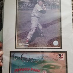 Ted William's Redsox Picture