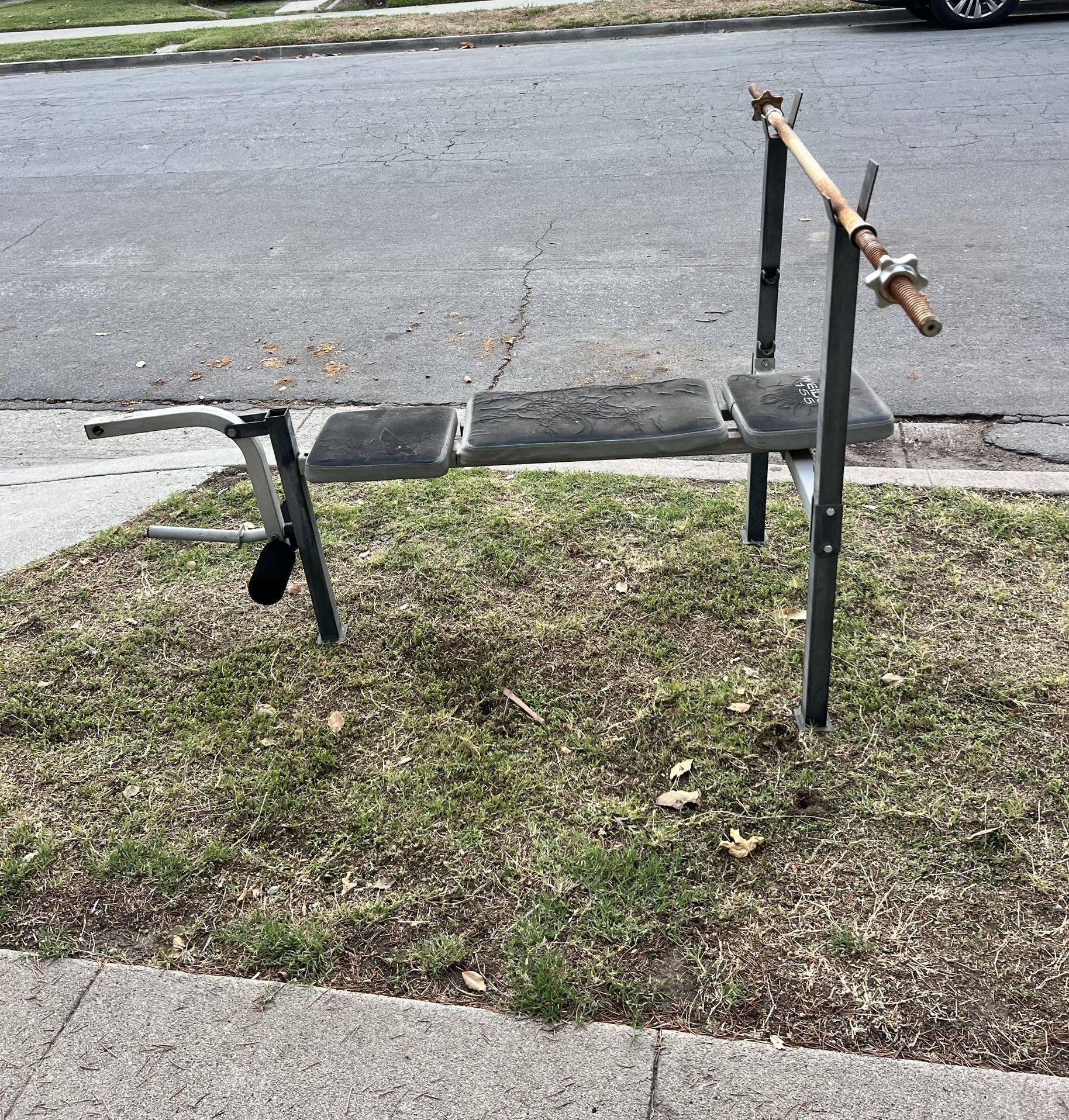 CURB ALERT Weight Bench