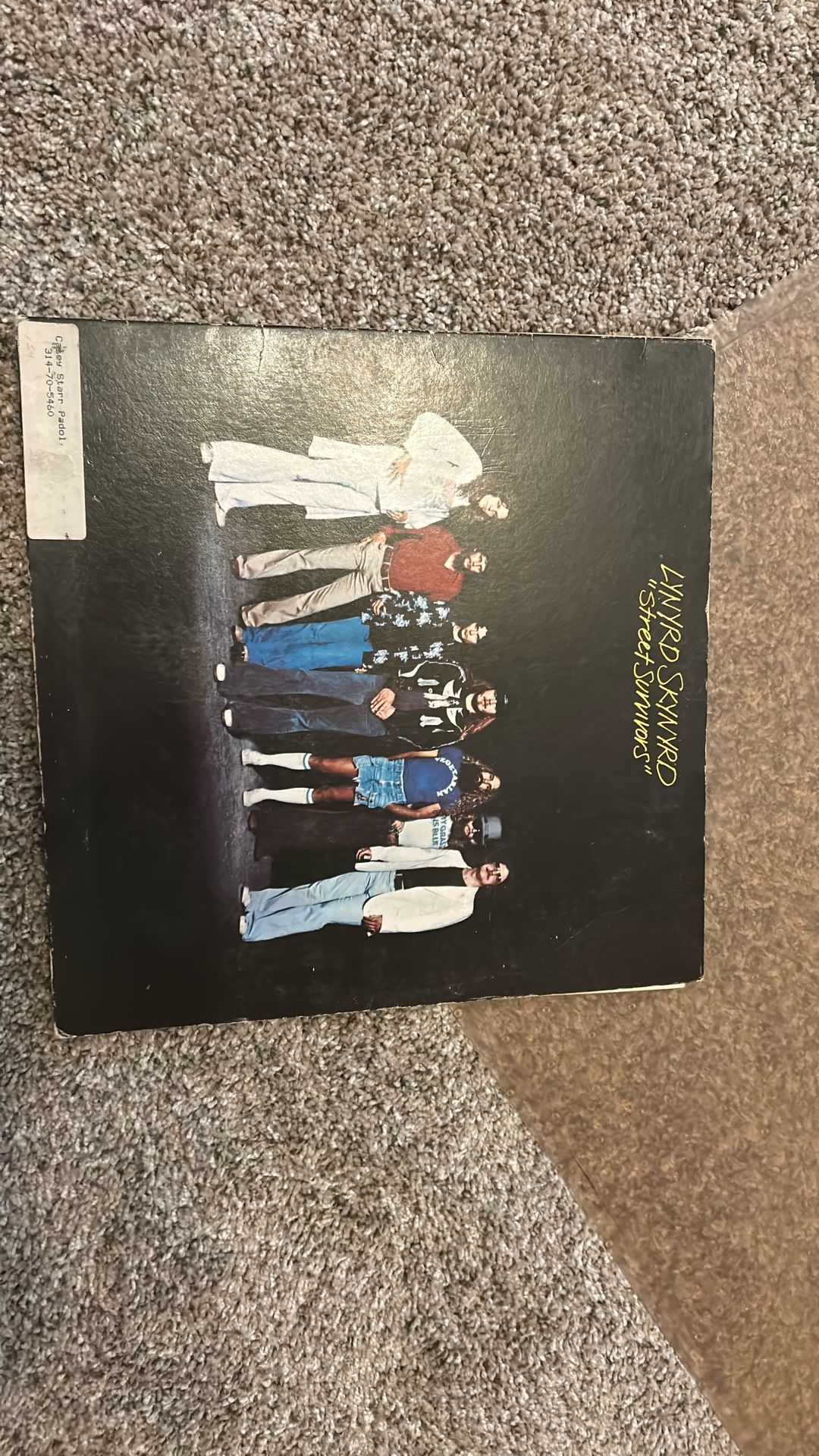 Record Album Skynyrd