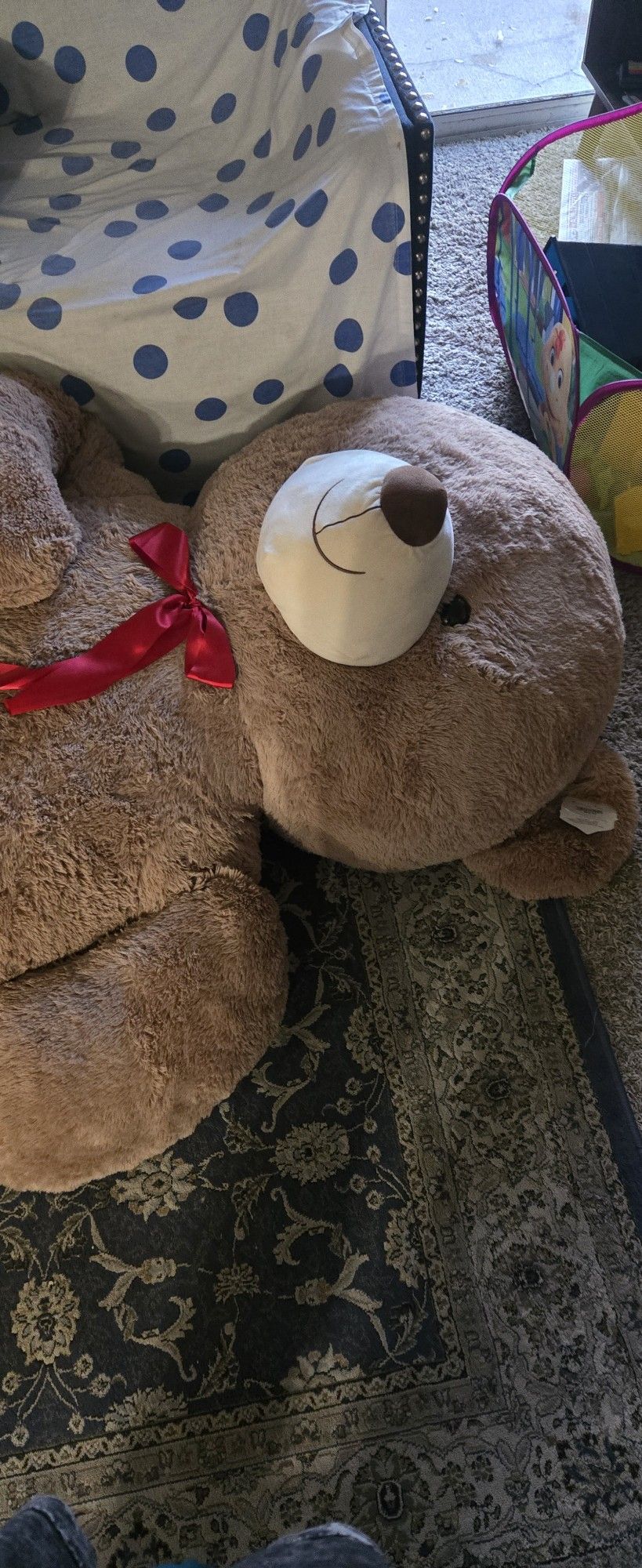 Huge 7ft Teddy