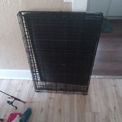 Large dog kennel