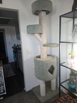 Cat Tree