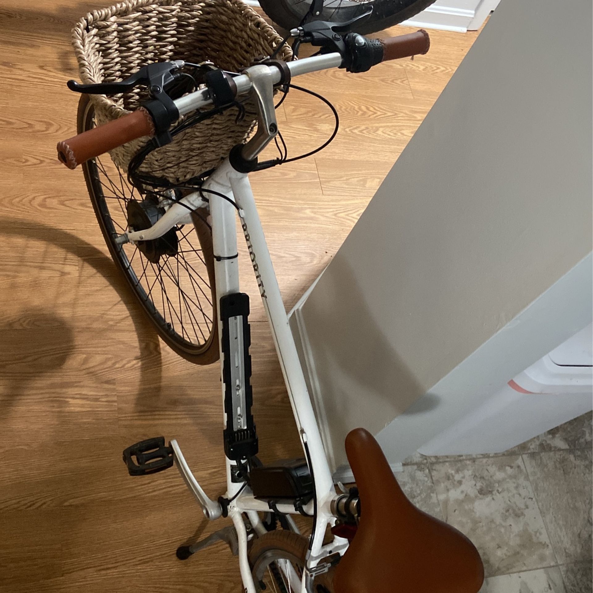 Belt Drive Custom Ebike