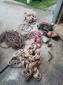 Tree Cutting Gear