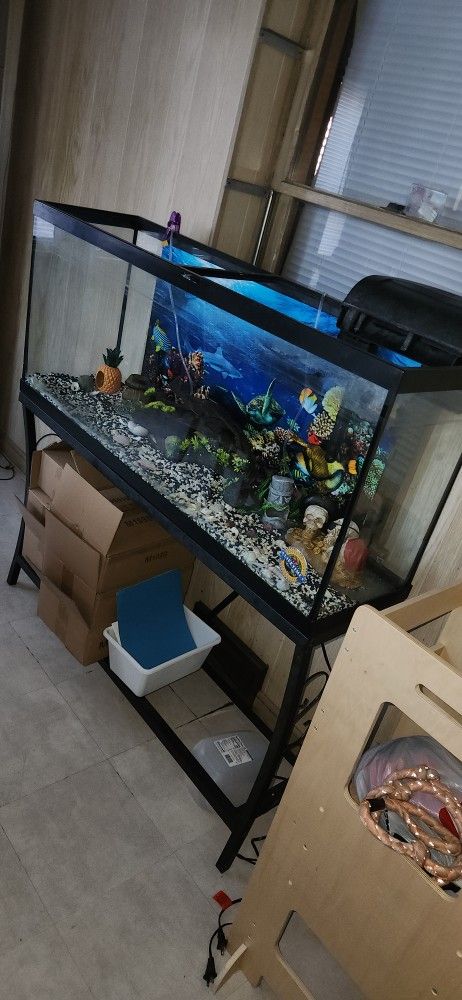 55 Gallon Fish Tank